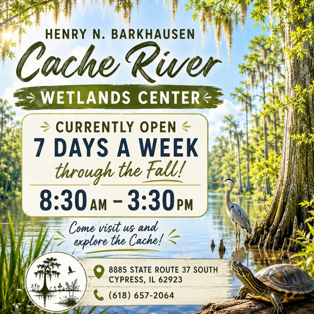 Cache River