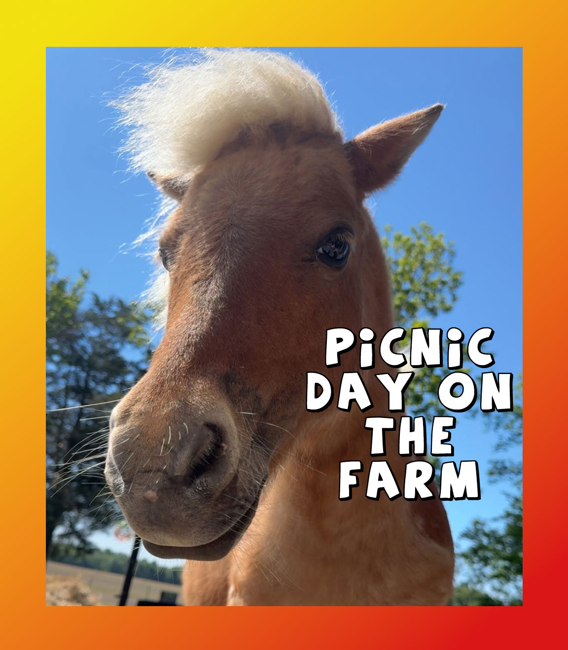 Picnic day on the Farm Ullin Illinois