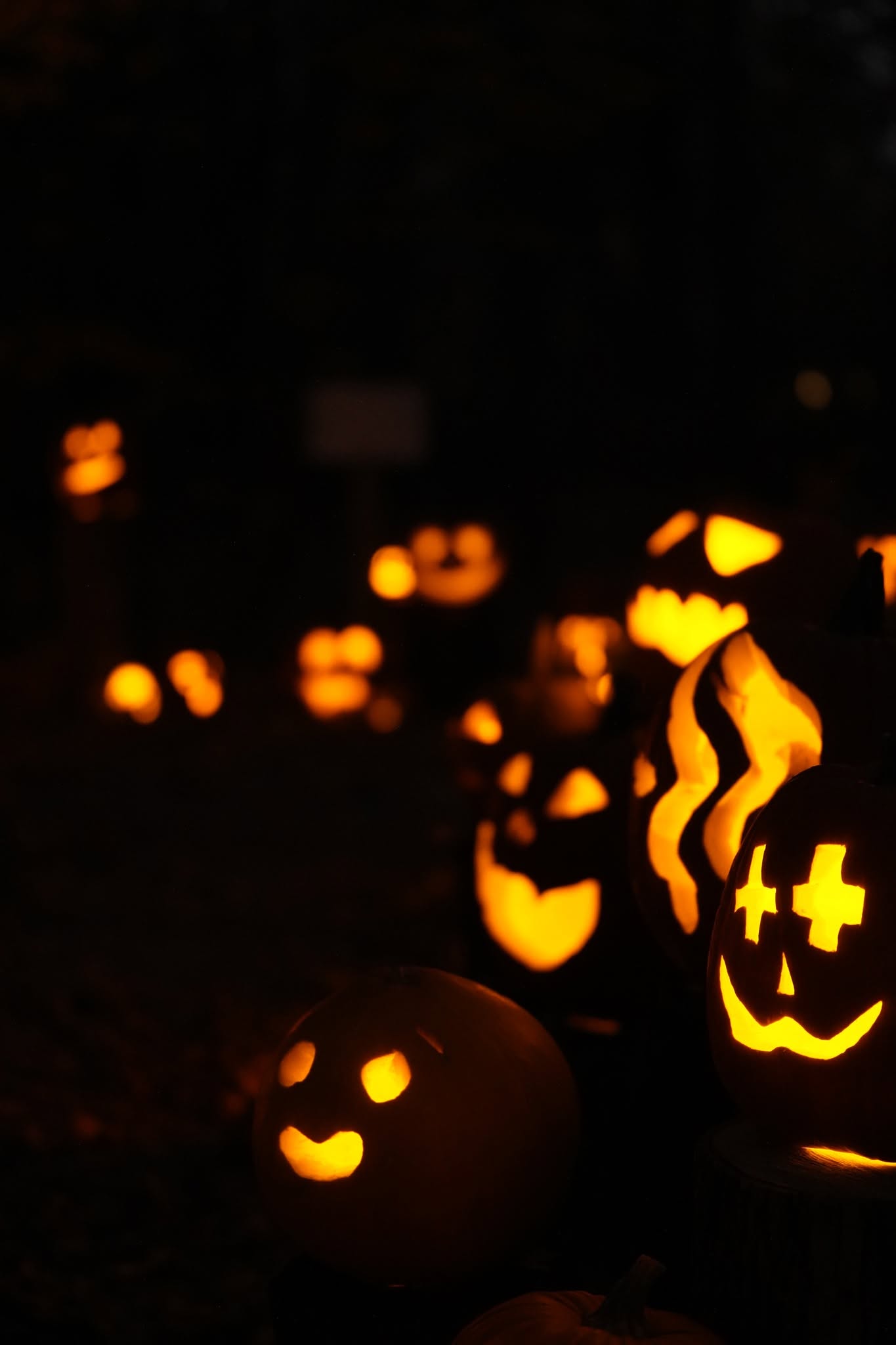 pumpkin glow