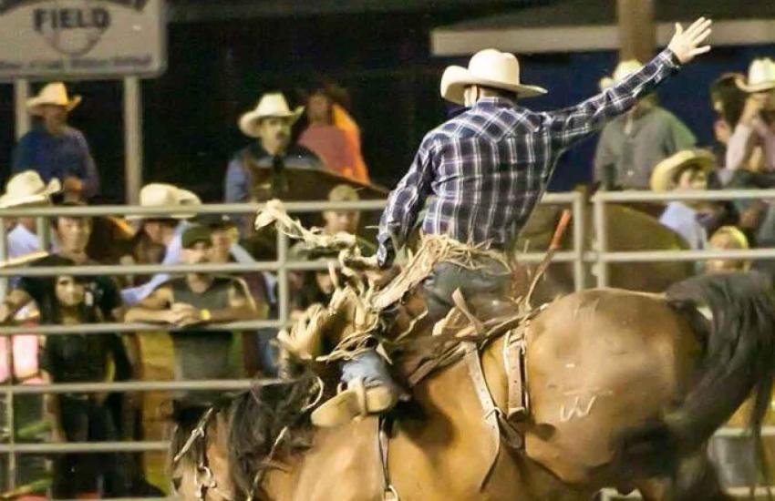 rodeo