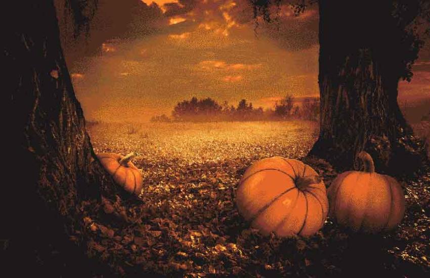 Halloween in Dongola Illinois