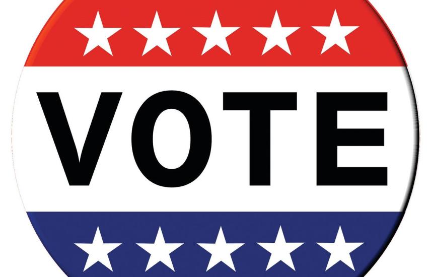 2026 voting in dongola illinois